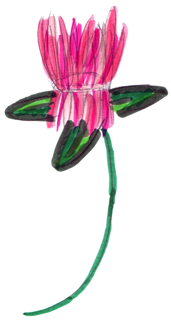 Fleur de trèfles